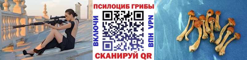 Псилоцибиновые грибы Psilocybine cubensis Зея